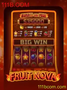 Descubra o Mundo de FruitNova: Uma Aventura de Jogos Inédita